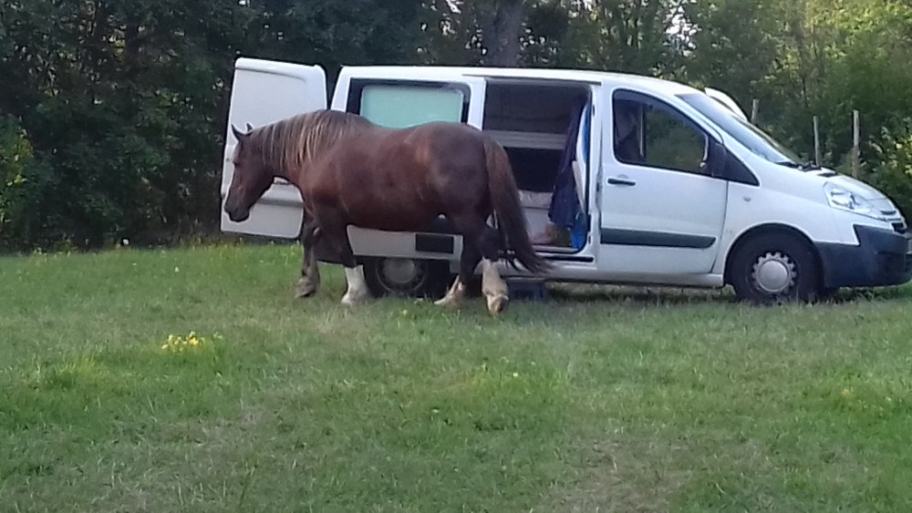Aire camping-car  Saint-Gaudens (31800) - Photo 3